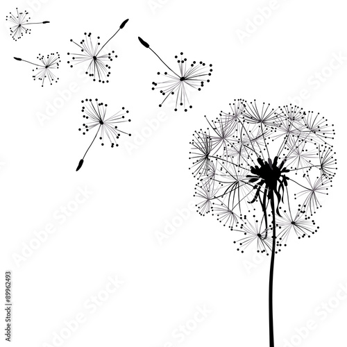 Fototapeta Naklejka Na Ścianę i Meble -  dandelions in wind