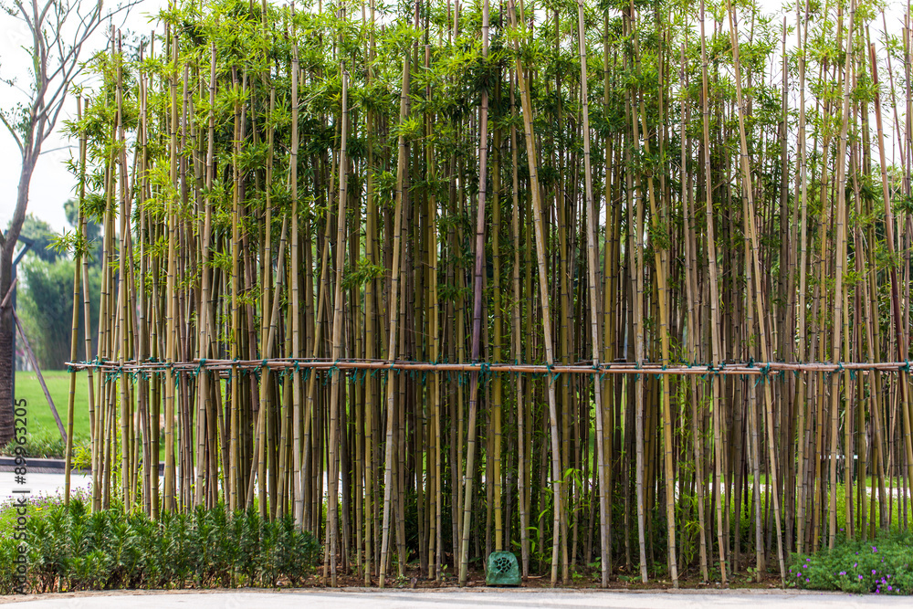Fototapeta premium Park in Jiangyin