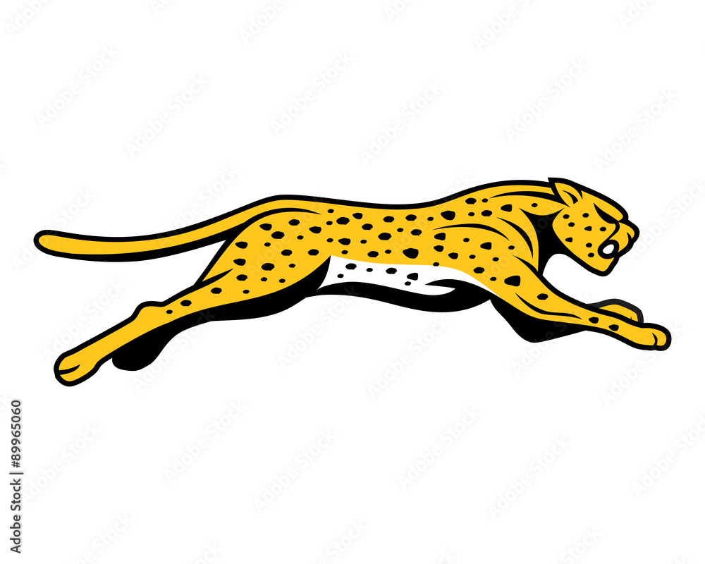 Fototapeta premium cheetahs run