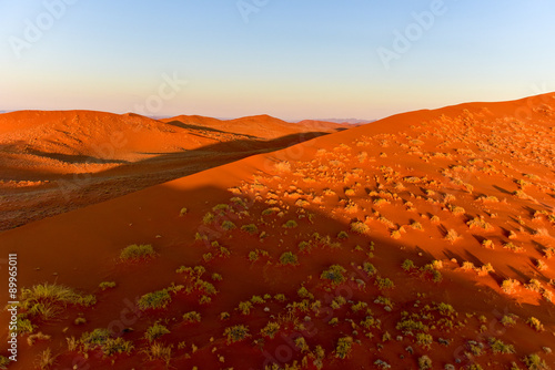 Namib Sand Sea - Namibia