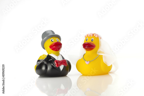 wedding ducks couple