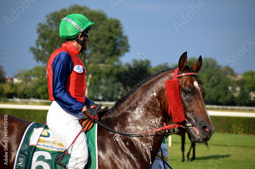 Arabian horse racing 