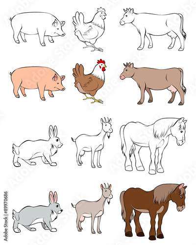 Six animals set