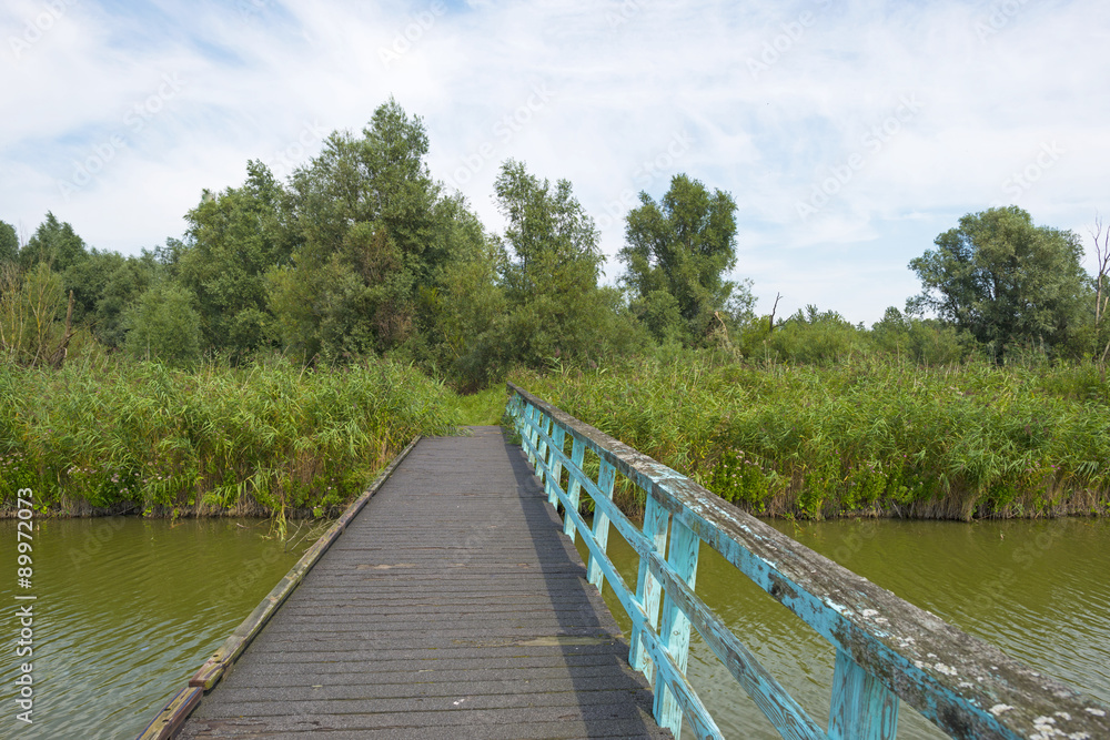 Wooden footbridge over a canal in summer