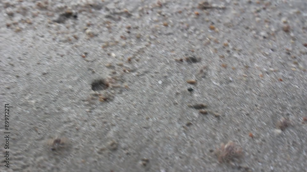 Small crab making small sand balls around its burrow, Thailand. Accelerated video Small crab making small sand balls around its burrow, Thailand. Accelerated video