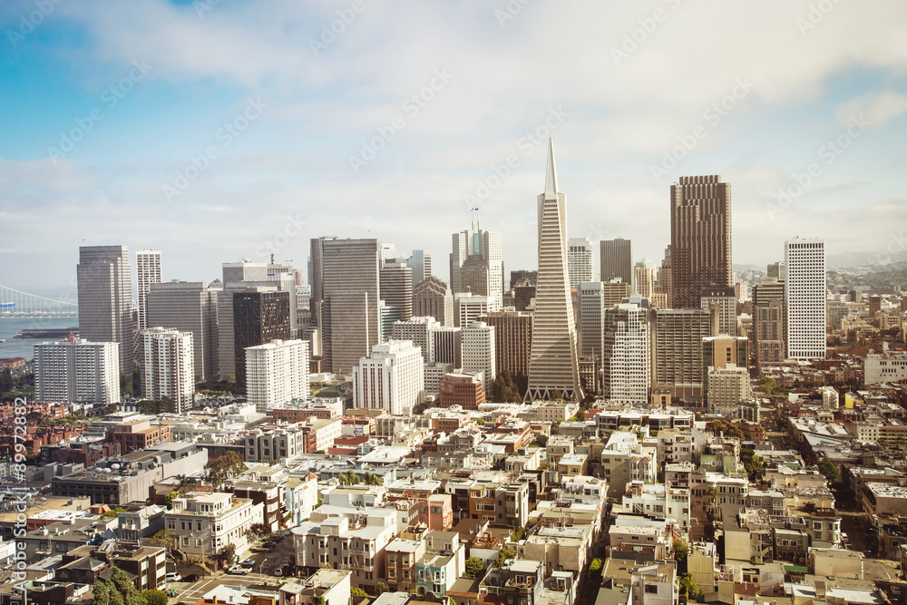 Obraz premium Spectacular aerial panorama of San Francisco Financial District made from the top floor of Coit tower on sunny day, California