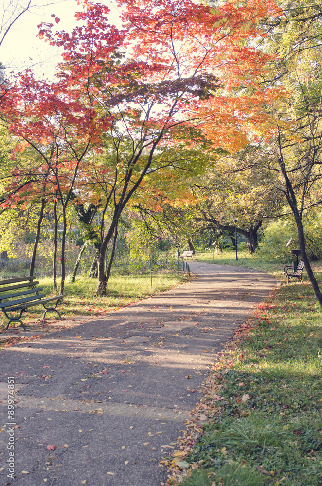 Autumn in park