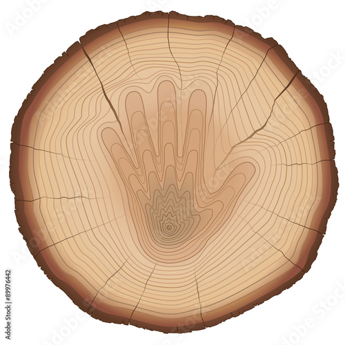 Hand shaped annual rings on a wood, as a symbol for nature conservation, environment protection, to stop forest dieback, or a sign for aging process. Isolated vector illustration, white background. 