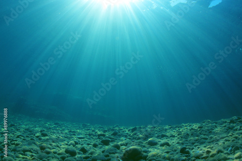 Fotomurale Underwater Sea Ocean