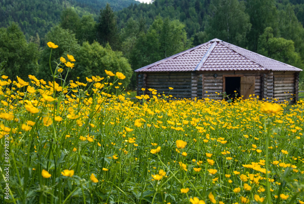 Obraz premium Юрта