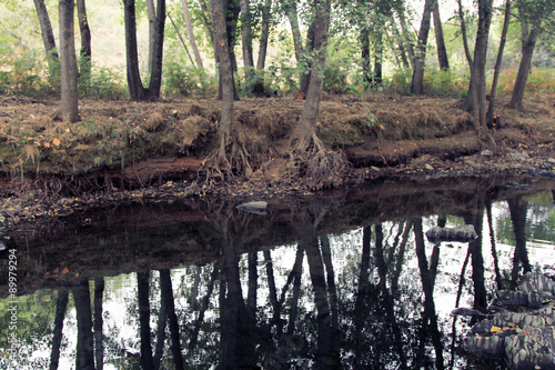 Alisos en río de los Ángeles, Sauceda, Hurdes, España