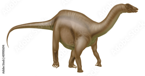 Diplodocus dinosaur
