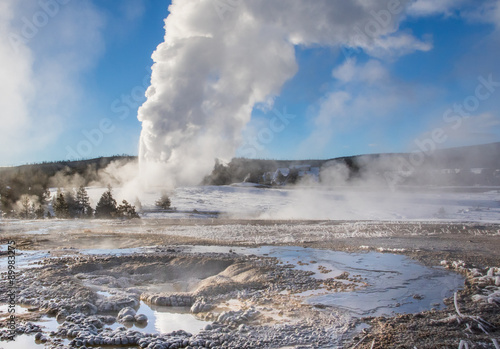 old faithful eruption with other hot springs landscape