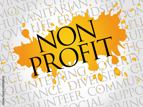 Non Profit word cloud concept
