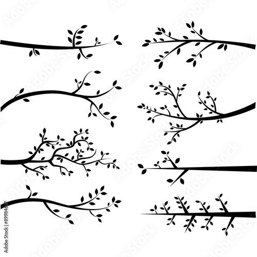 Branch Silhouettes