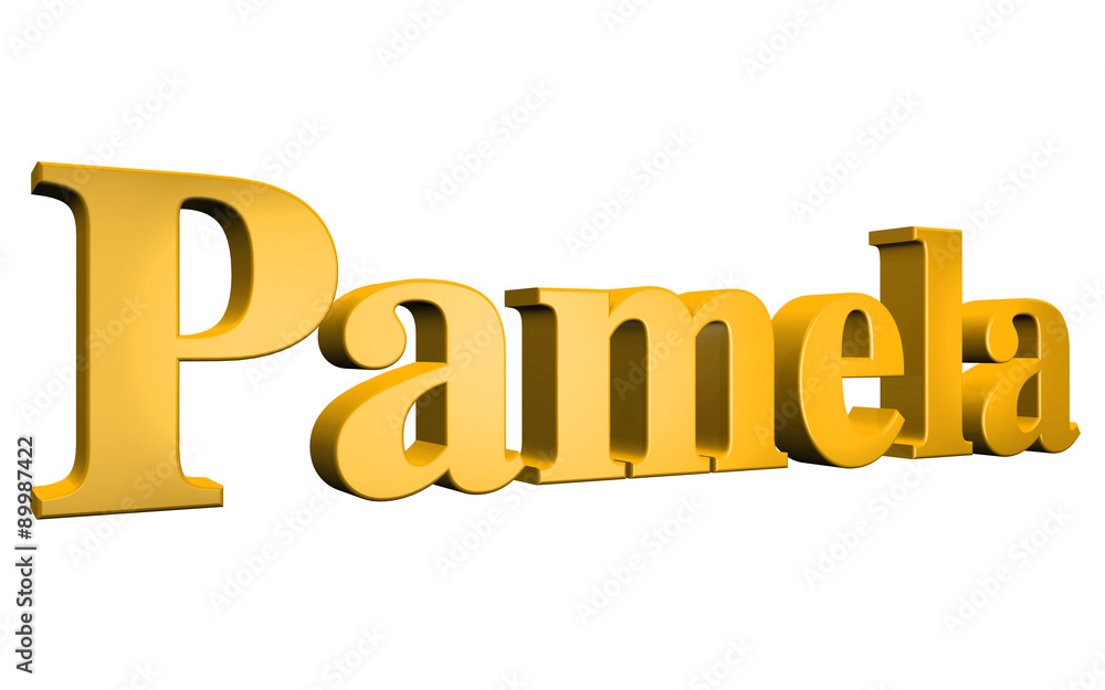 3D Pamela text on white background 3D Pamela text on white background