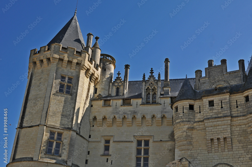 Il castello di Saumur e la Loira - Francia