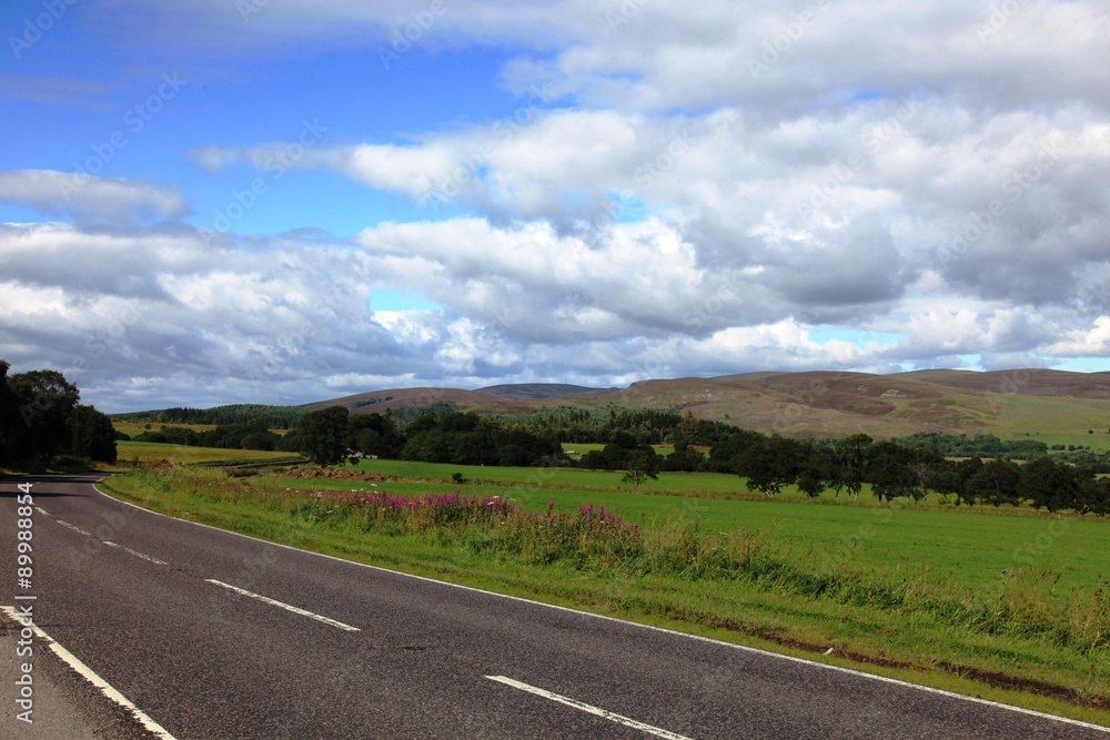 Fototapeta premium Lungo la strada, nel parco nazionale Carringorms, in Scozia