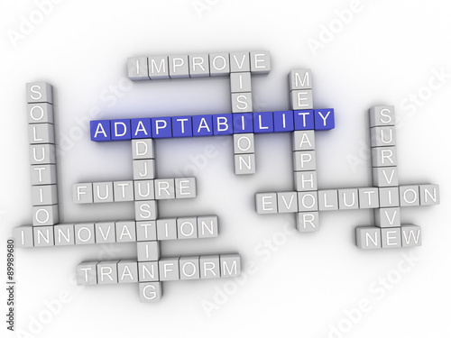 3d image Adaptability word cloud concept photo