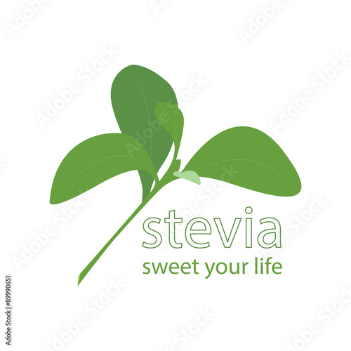vector illustration of stevia leaf with sentence "sweet you life".