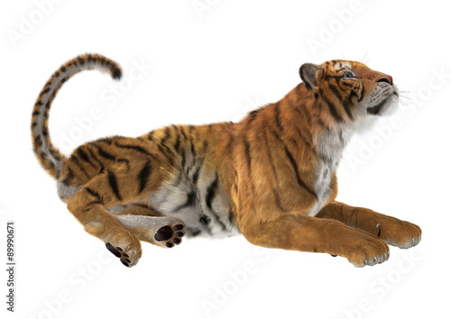 Fototapeta Naklejka Na Ścianę i Meble -  Tiger