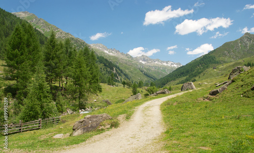 Path to the Alps