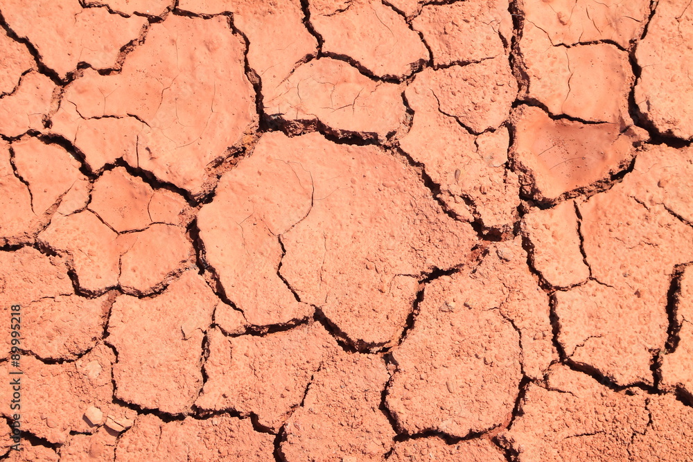 Cracked ground Cracked ground