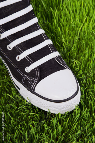 Black shoe on the green lawn