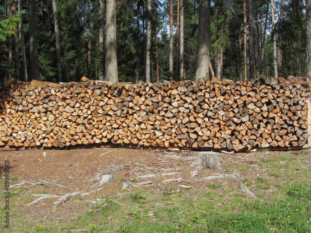 Pile of firewood with forest background . Fie allo scilliar, South Tyrol, Italy