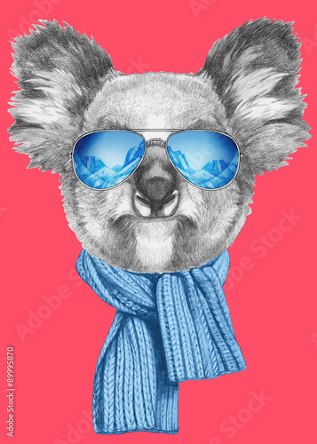 Portrait of Koala with scarf and sunglasses. Hand drawn illustration.