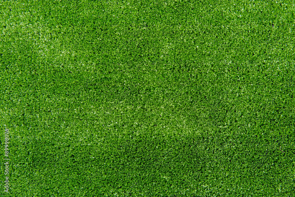 Fototapeta premium green grass
