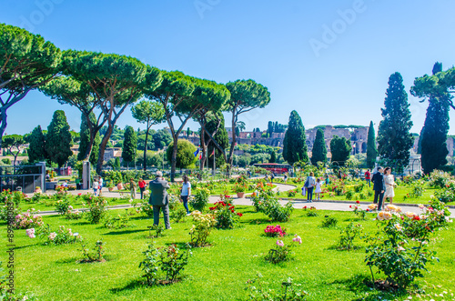 view of the roseto di roma capitale garden in rome. this garden overlooks the city from the aventino hill. photo