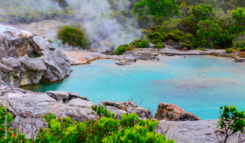 Te Puia thermal park. Rotorua town, New Zealand.