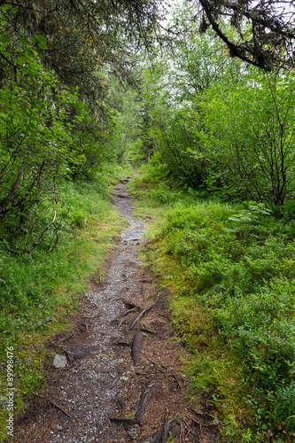 Sentier en forêt © Sébastien Closs