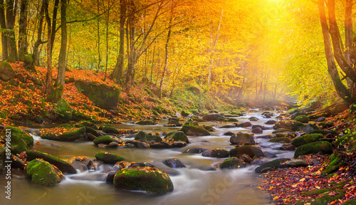 Landscape magic river in autumn forest at sunlight.