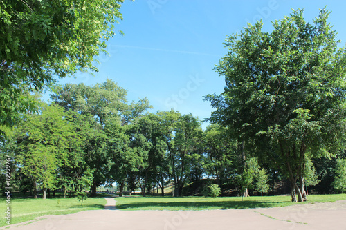 Beautiful park with many green trees