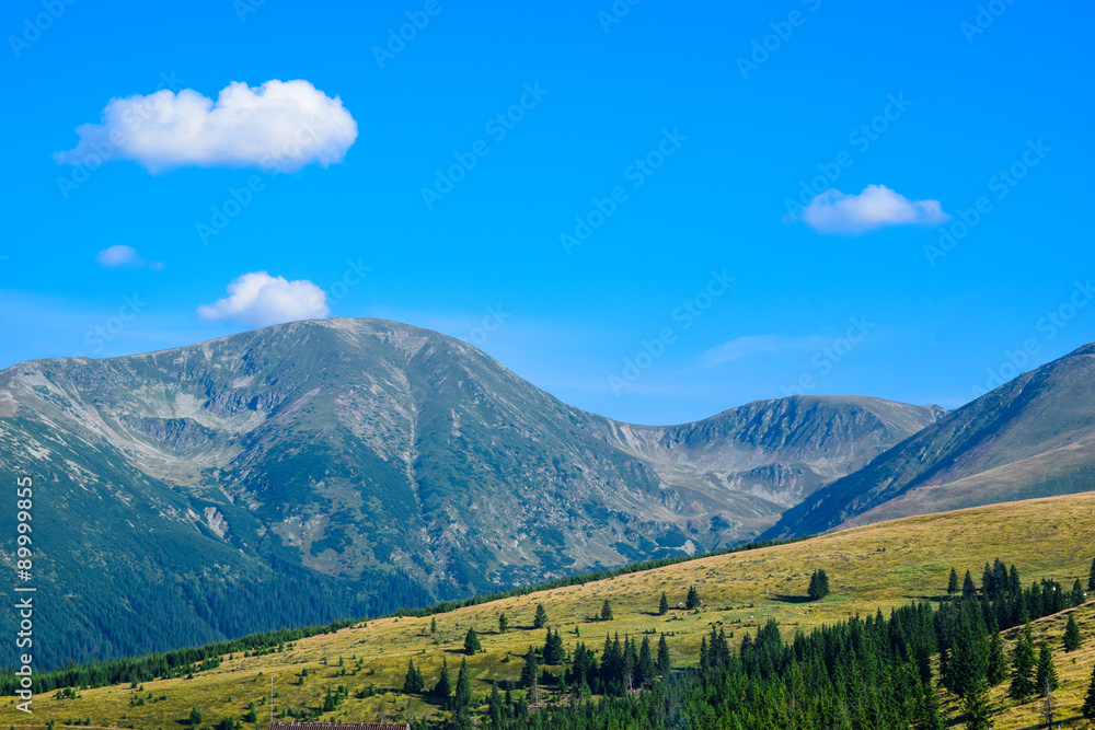 Transalpina altitude road in the Romanian Carpathians