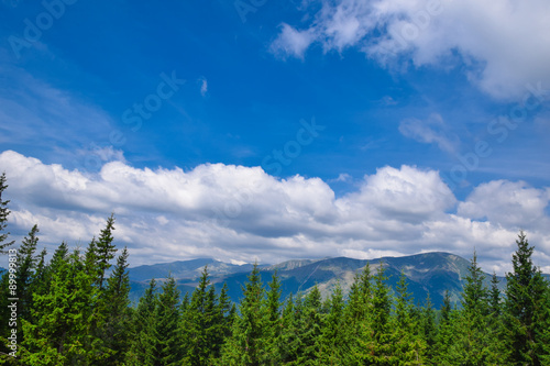 Beautiful view Landscape of Bucegi mountains in Romania, in summer