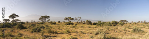 Amboseli National Park  Kenya