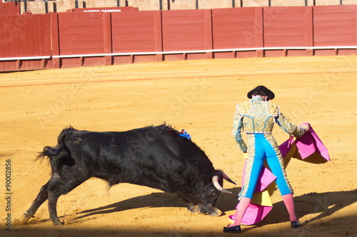 Bullfight