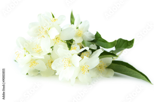 White flowers of jasmine isolated on white © 5second