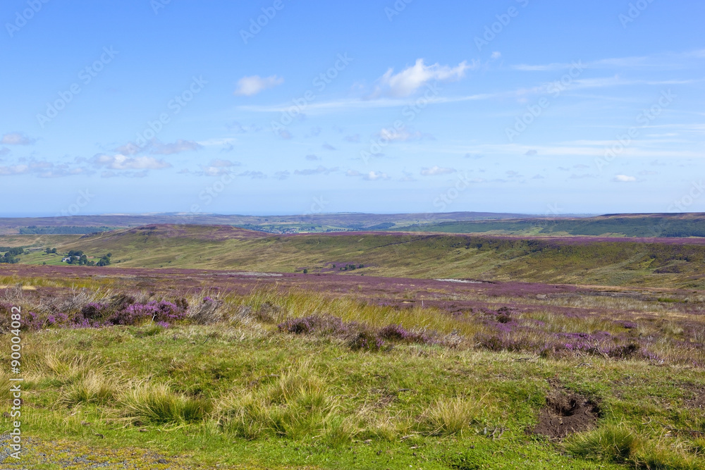 rugged moorland terrain rugged moorland terrain