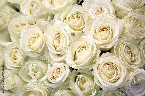 White roses. Floral Texture and background. Flowers closeup. Wedding and wedding accessory. The rose petals. Large bouquet.