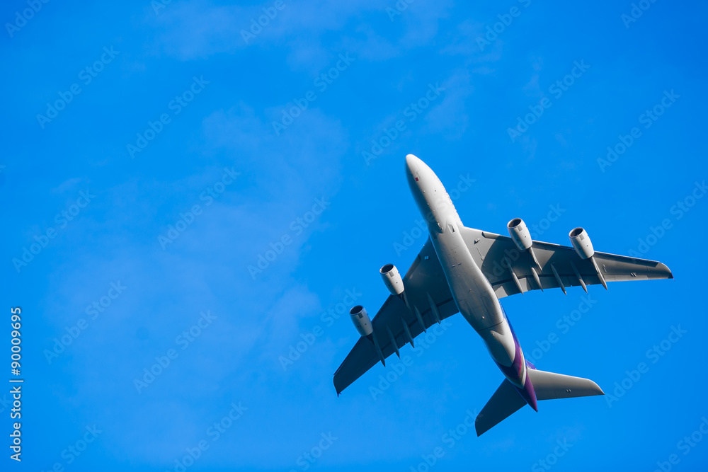 Obraz premium 離陸中の飛行機