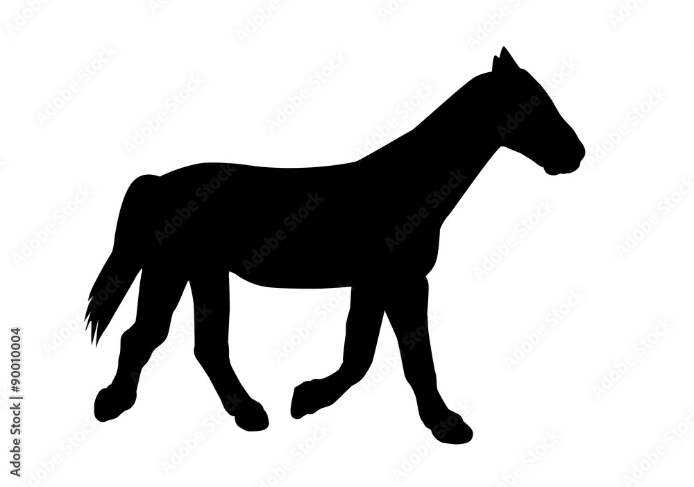 Silhouette Horse. Vector Illustration.