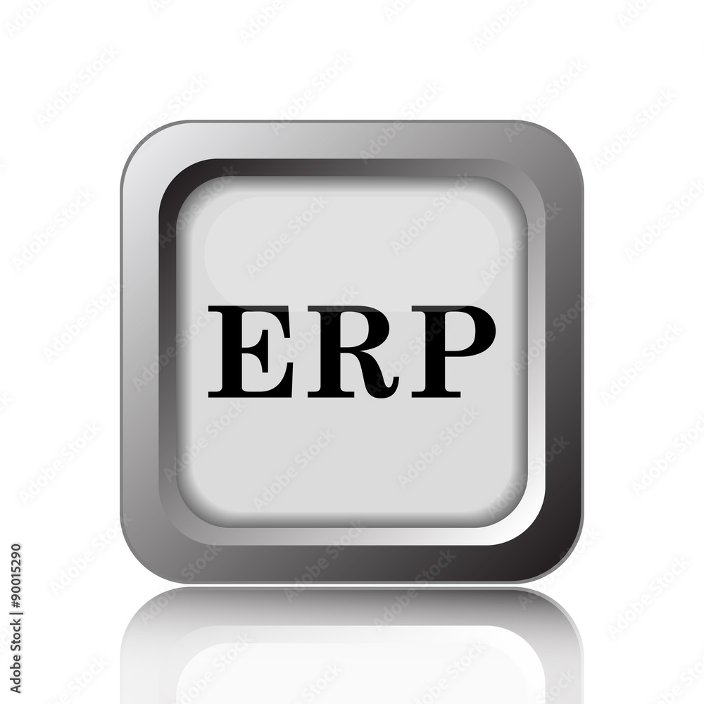 ERP icon ERP icon