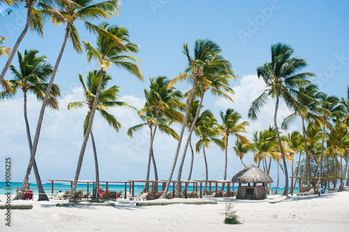 Palms at Juanillo beach in Dominican republic © ilyaska
