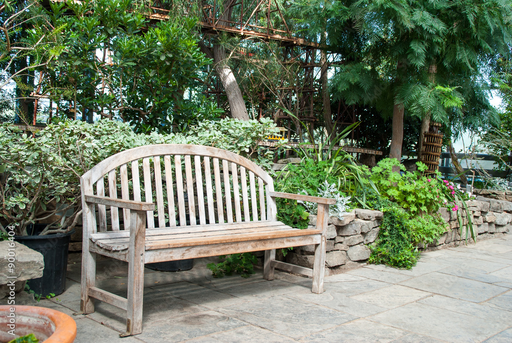 Wooden Bench in a Garden surrounded by evergreens and tropical p Wooden Bench in a Garden surrounded by evergreens and tropical p