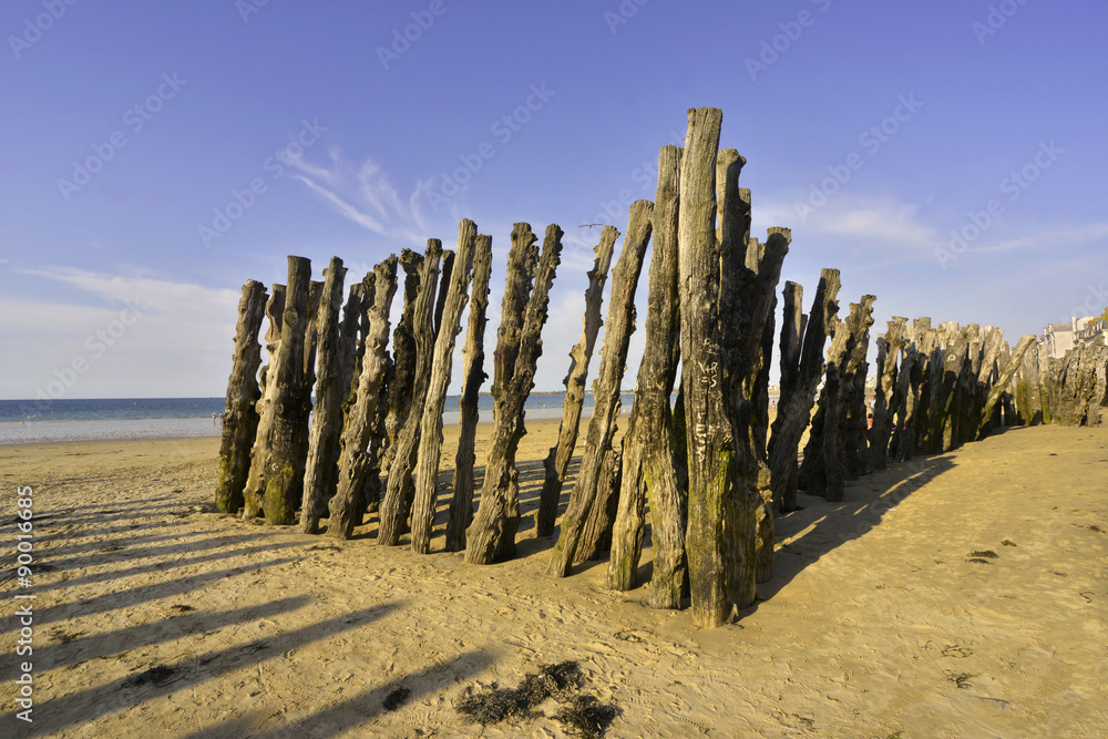 Les pieux brises-lames en chêne, édifiés au XIXè siècle sur la plage de l’éventail à Saint Malo (35400), département d' Ille-et-Vilaine en région Bretagne, France Les pieux brises-lames en chêne, édifiés au XIXè siècle sur la plage de l’éventail à Saint Malo (35400), département d' Ille-et-Vilaine en région Bretagne, France