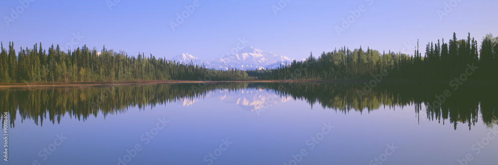 Trapper Creek and Mount McKinley, Alaska